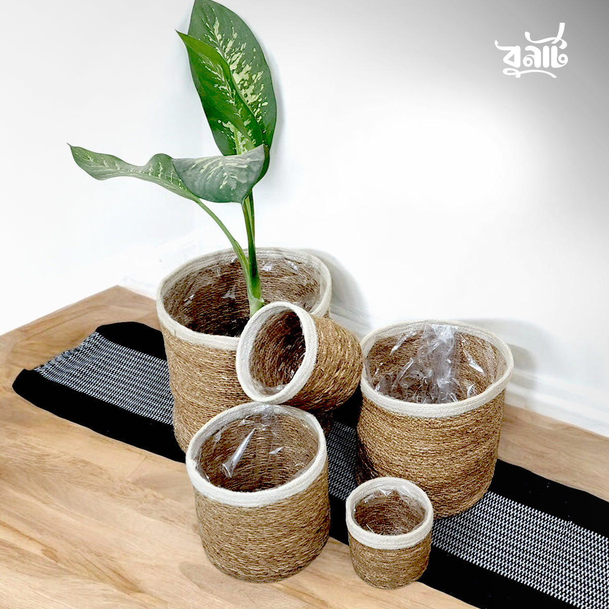 Hogla & Jute Fiber Planter (Set of Five)
