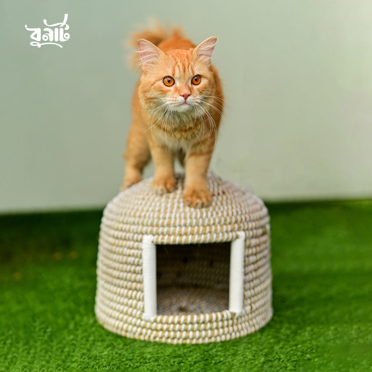 Kaisa Grass Cat House